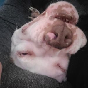 Meet your Posher, Kari